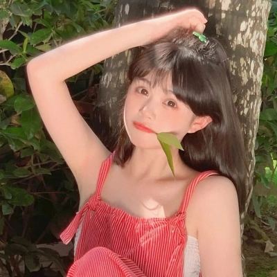 奶块无视领地作弊器下载
